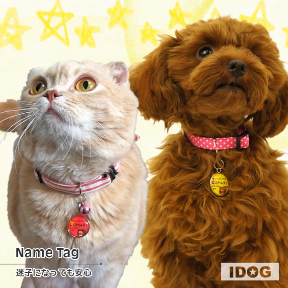 犬 猫 ペット 迷子札 iDog&iCatオリジナル ネームタグ 迷子札アングリーベア ネームプレート 名札 ドッグタグ