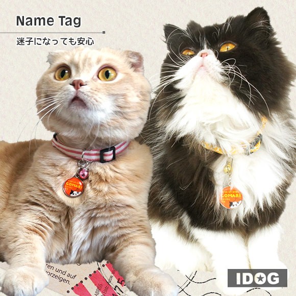 犬 猫 ペット 迷子札 iDog&iCatオリジナル ネームタグ 迷子札ネコ ネームプレート 名札 ドッグタグ