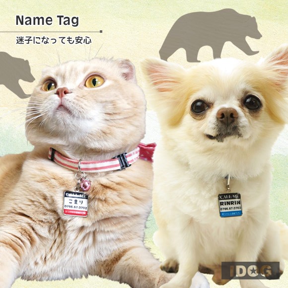 犬 猫 ペット 迷子札 iDog&iCatオリジナル ネームタグ角丸 迷子札CALLME ネームプレート 名札 ドッグタグ