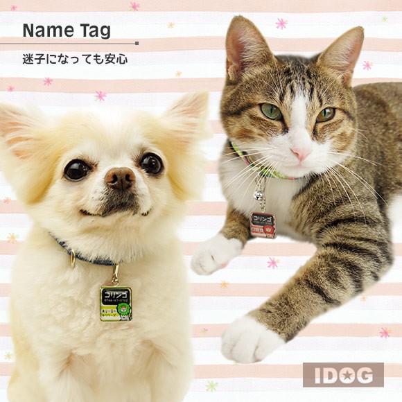犬 猫 ペット 迷子札 iDog&iCatオリジナル ネームタグ角丸 迷子札ライオン ネームプレート 名札 ドッグタグ
