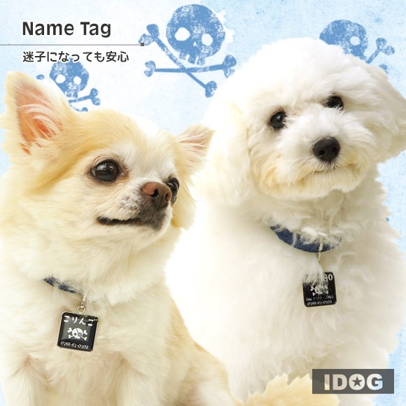 犬 猫 ペット 迷子札 iDog&iCatオリジナル ネームタグ角丸 迷子札海賊旗 ネームプレート 名札 ドッグタグ