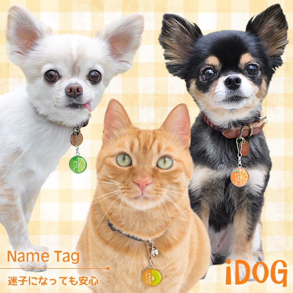 犬 猫 ペット 迷子札 iDog&iCat ネームタグ迷子札ハーフフルーツ ネームプレート 名札 ドッグタグ