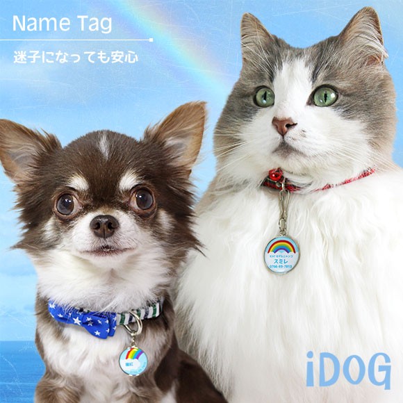 犬 猫 ペット 迷子札 iDog&iCat ネームタグ迷子札レインボー ネームプレート 名札 ドッグタグ