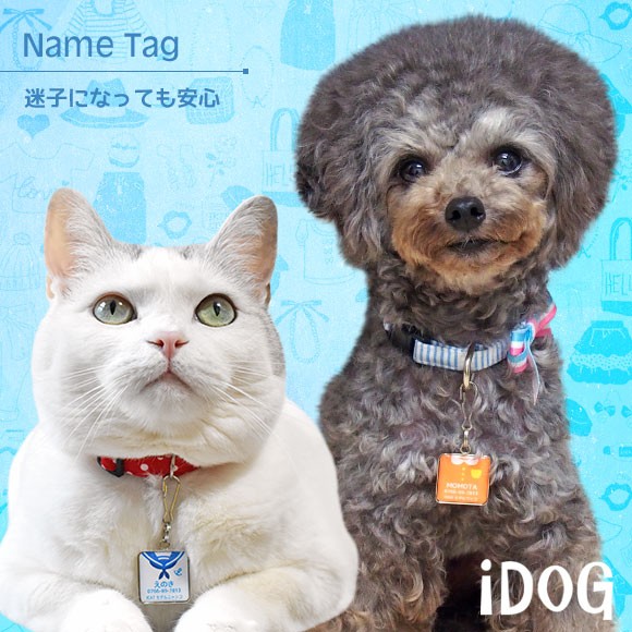 犬 猫 ペット 迷子札 iDog&iCat ネームタグ迷子札角丸洋服 ネームプレート 名札 ドッグタグ