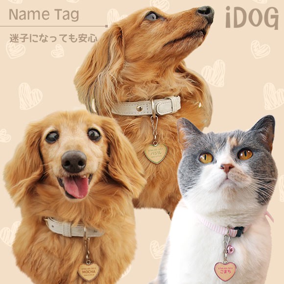 犬 猫 ペット 迷子札 iDog&iCat ネームタグ迷子札ハート型クッキー ネームプレート 名札 ドッグタグ