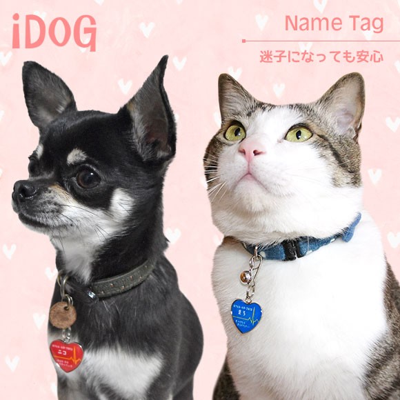 犬 猫 ペット 迷子札 iDog&iCat ネームタグ迷子札ハート型心電図 ネームプレート 名札 ドッグタグ