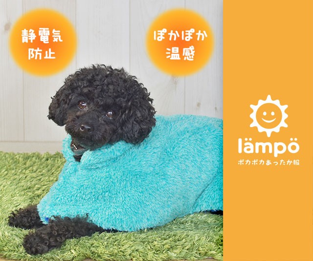 Idog Lampoランポウェア 温感 静電気防止 犬服 ドッグウェア Yahoo ショッピング