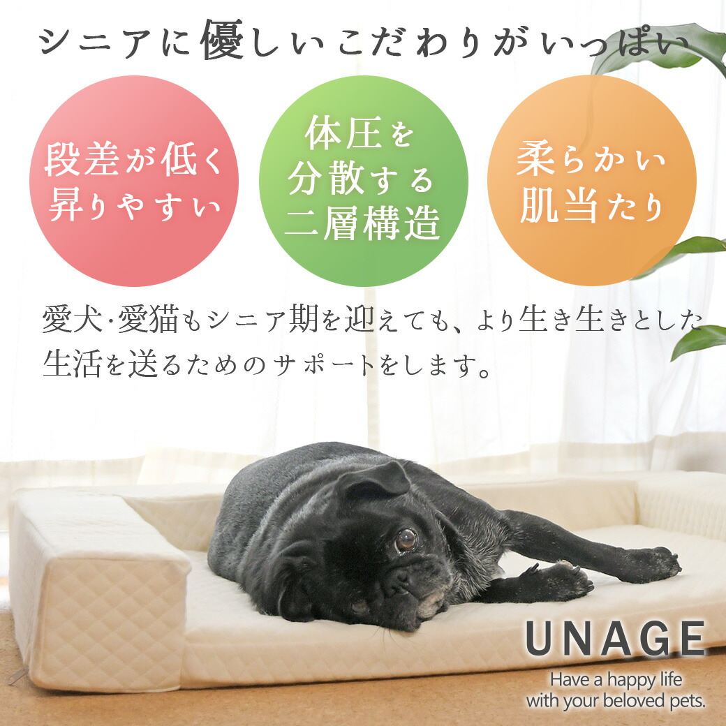 犬用ベッド UNAGE 体圧分散シニアローベッド カドラータイプ 防水キルト Lサイズ アイドッグ :RMC-BD247:iDog 通販  