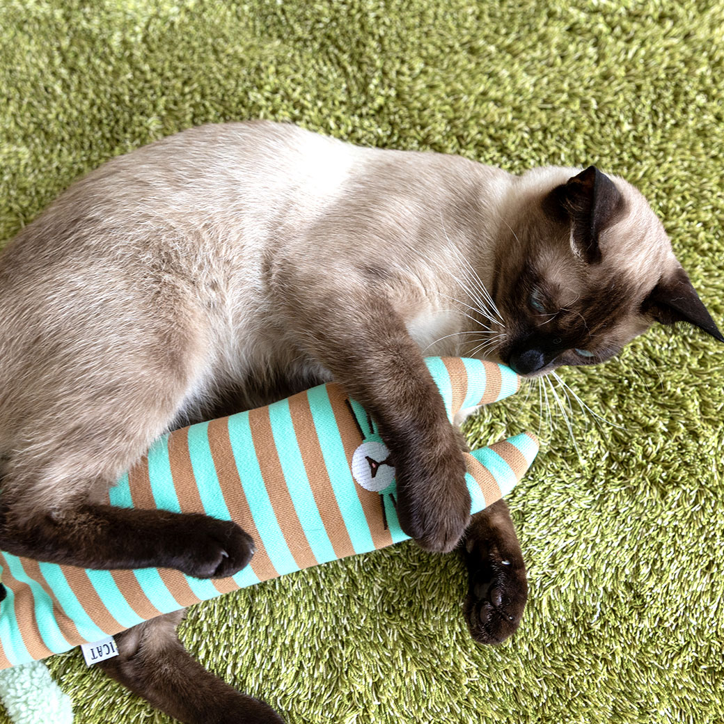 iDog iCat お友達にゃんこ キャットニップ入り アイキャット : iDog