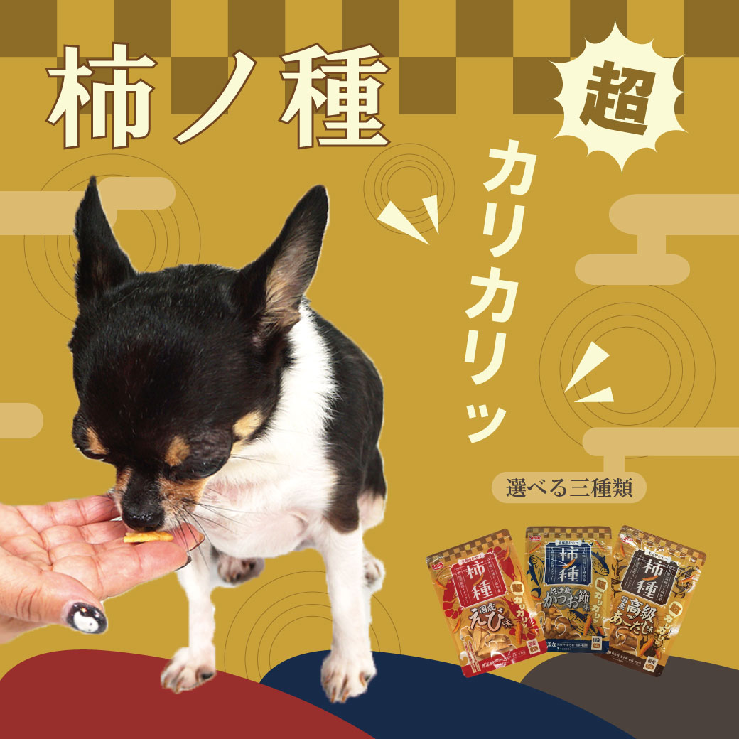 iDog 犬のおやつ ドッグフード スマック 柿ノ種国産えび味 50g : iDog