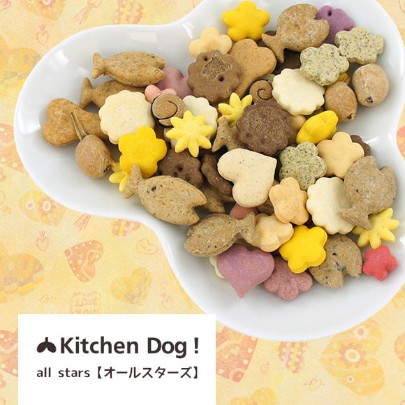 ドッグフード キッチンドッグ/all stars オールスターズ : iDog