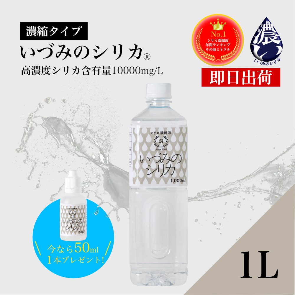 いづみのシリカヤフー店 トップ