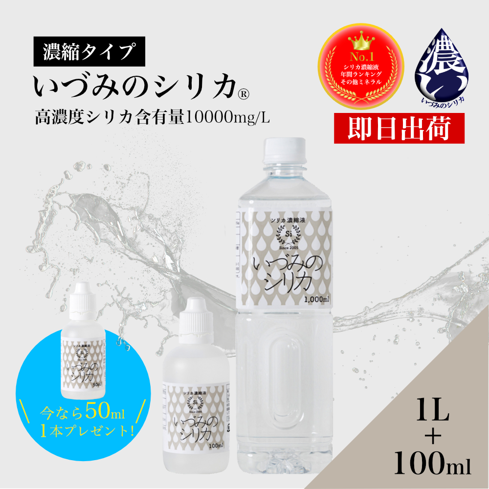 いづみのシリカヤフー店 トップ