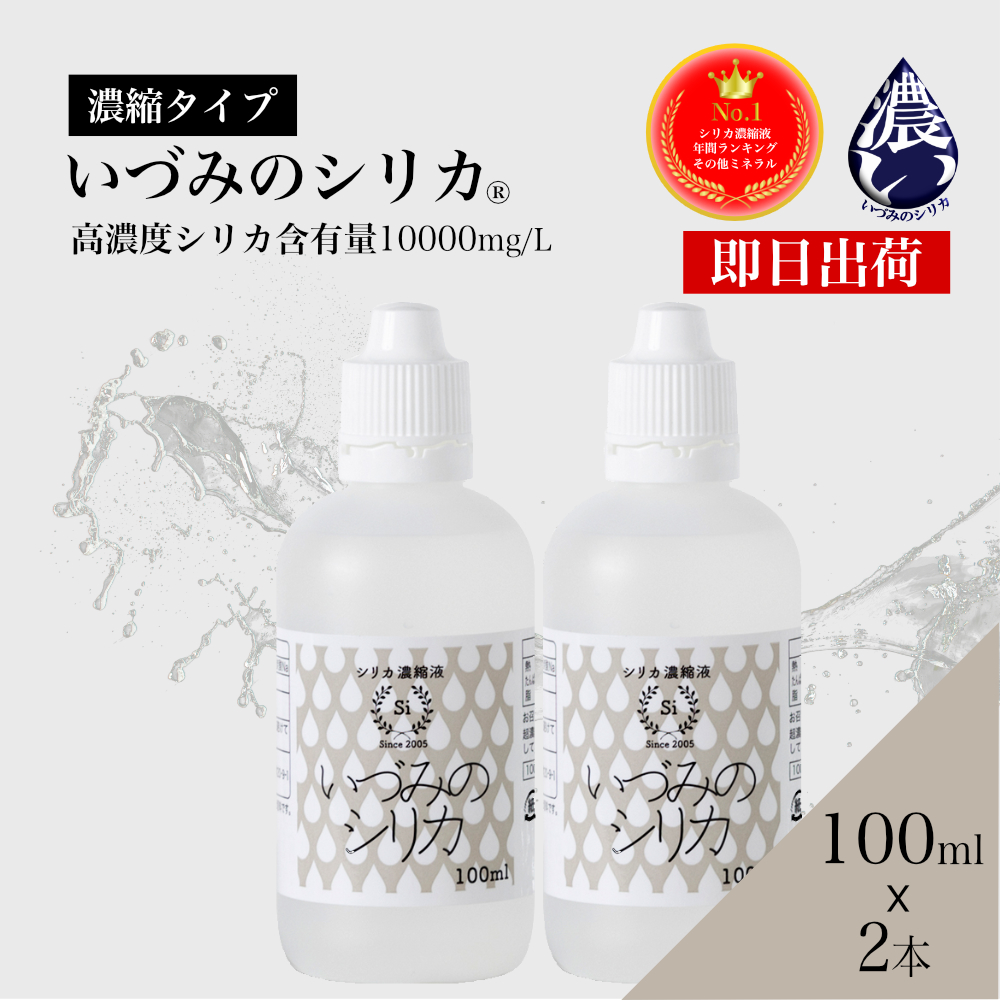 いづみのシリカヤフー店 トップ