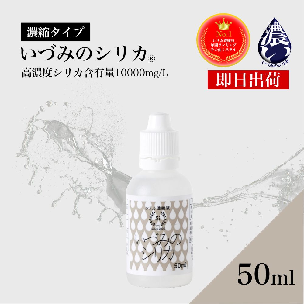 いづみのシリカヤフー店 トップ
