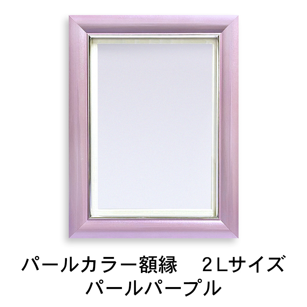 追加注文用 焼き増し カラー 額縁 つき 2L サイズ 写真 額 爆買