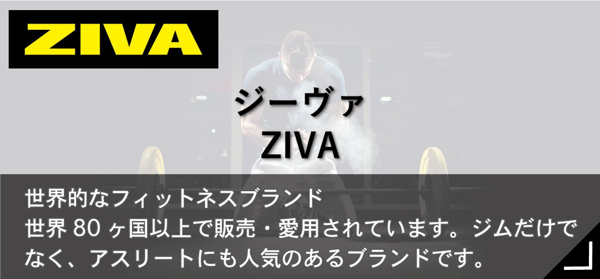 ZIVA（ジーヴァ）