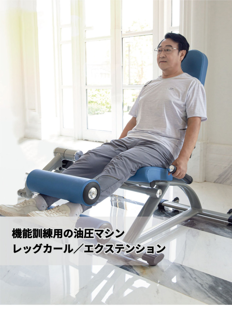 レッグカール（引取り限定） レッグエクステンションカールマシン（直接引取り限定） - メルカリ