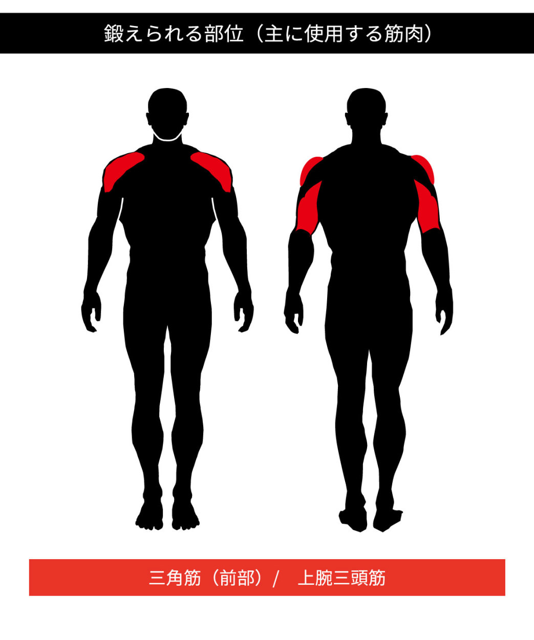 鍛えられる部位