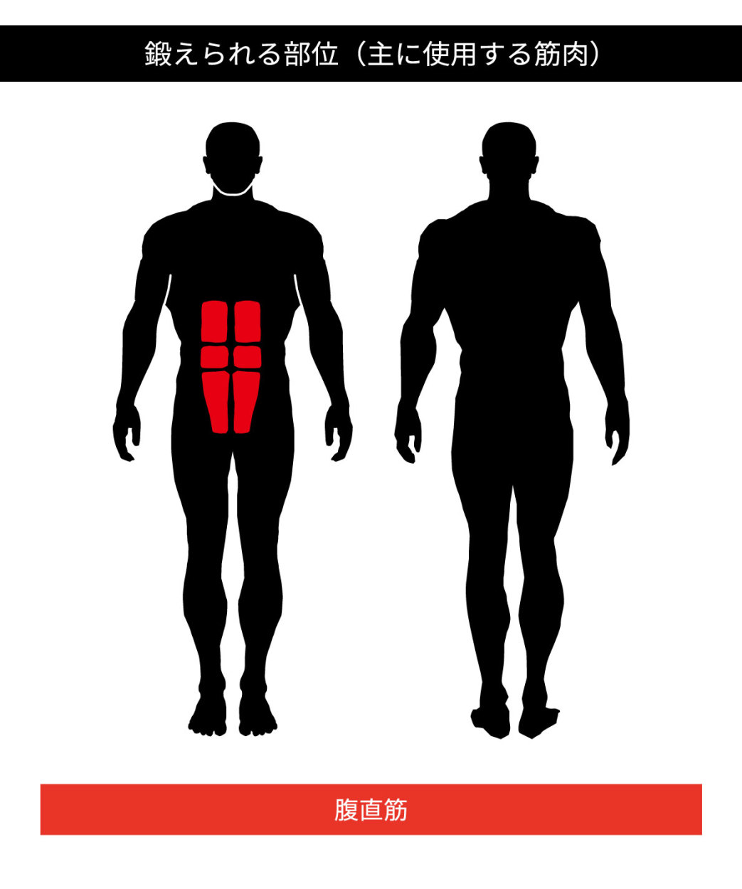 鍛えられる部位