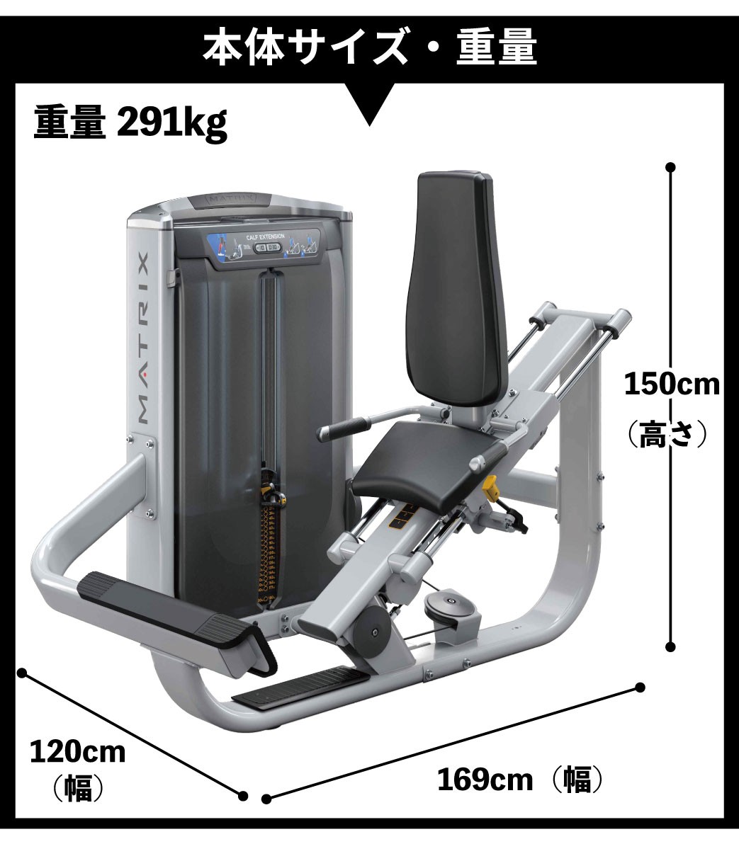 本体サイズ