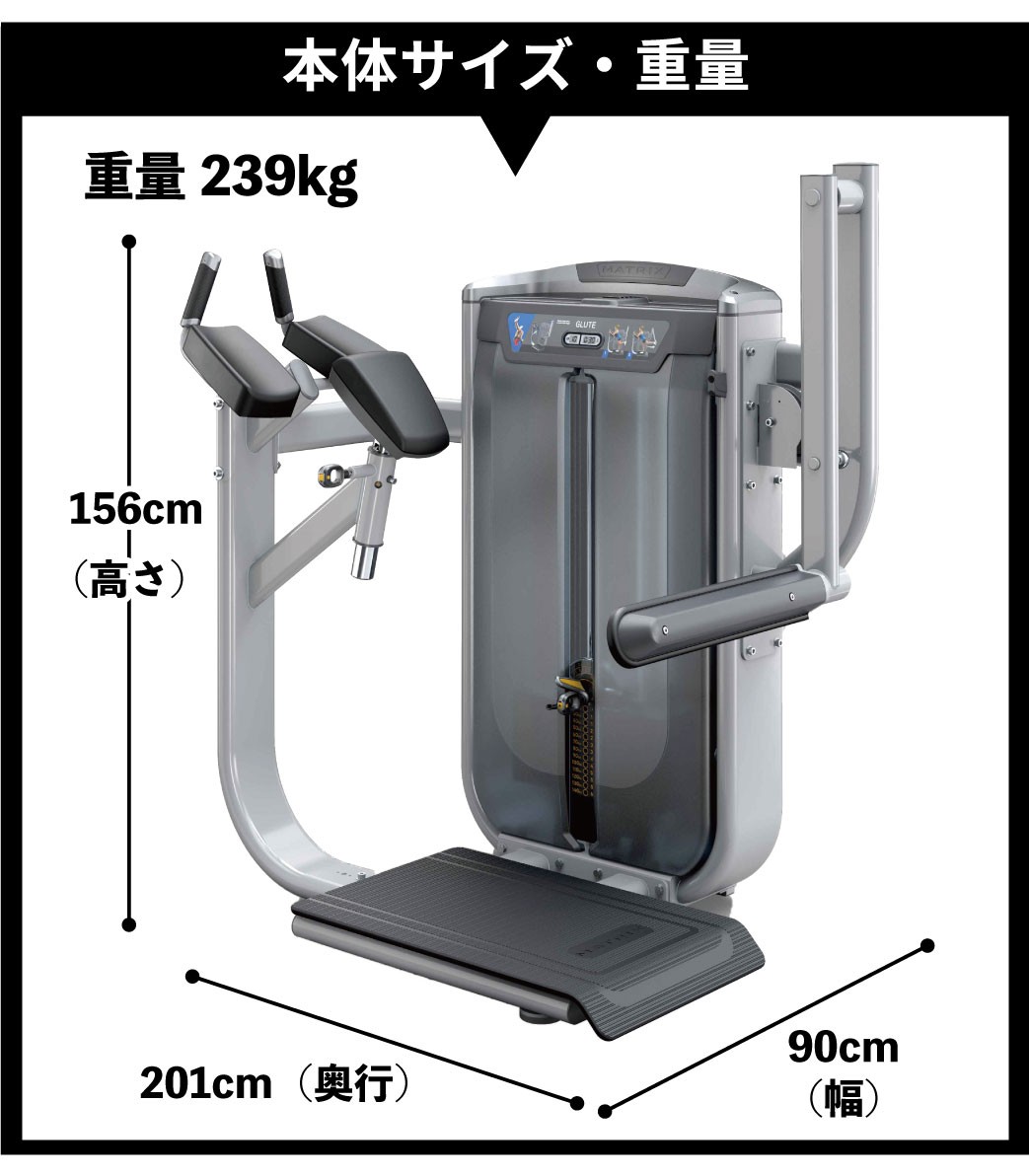 本体サイズ