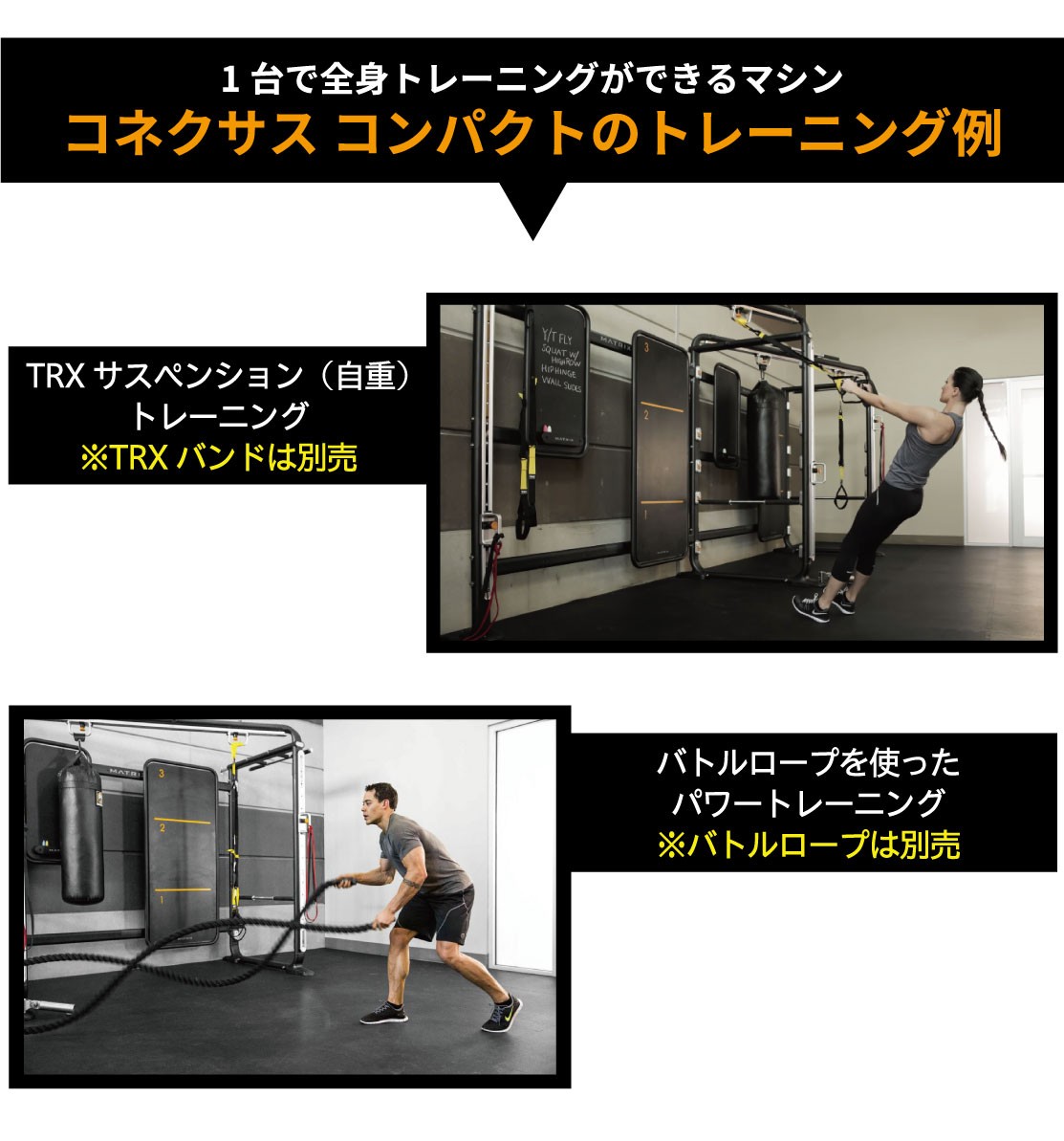 楽天市場】DOMYOS ドミオス フィットネス ウエイトトレーニング
