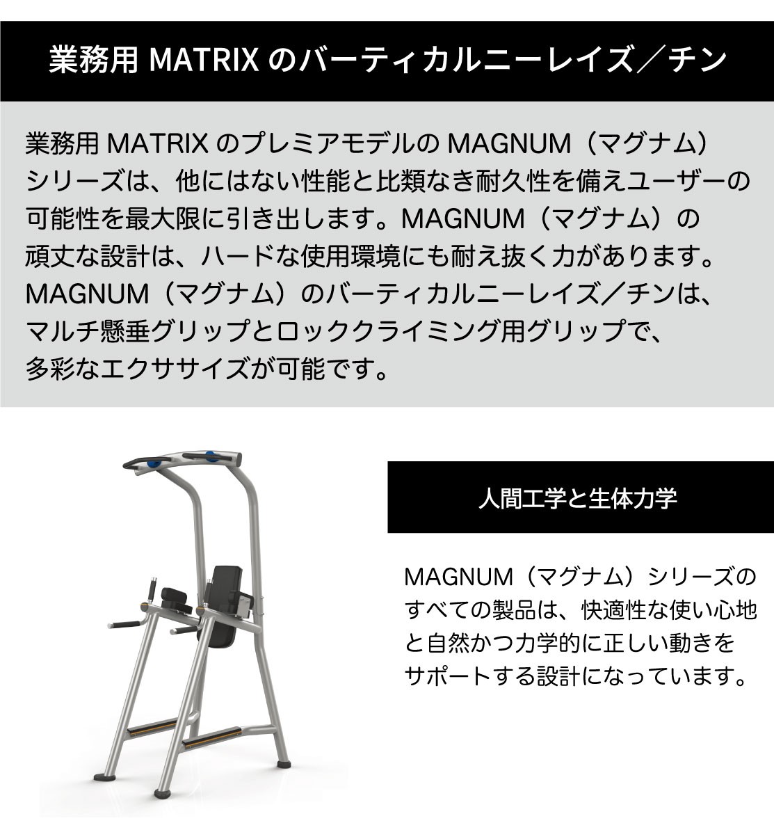 バーティカルニーレイズ MG-A63C チン 懸垂 業務用 ウエイト