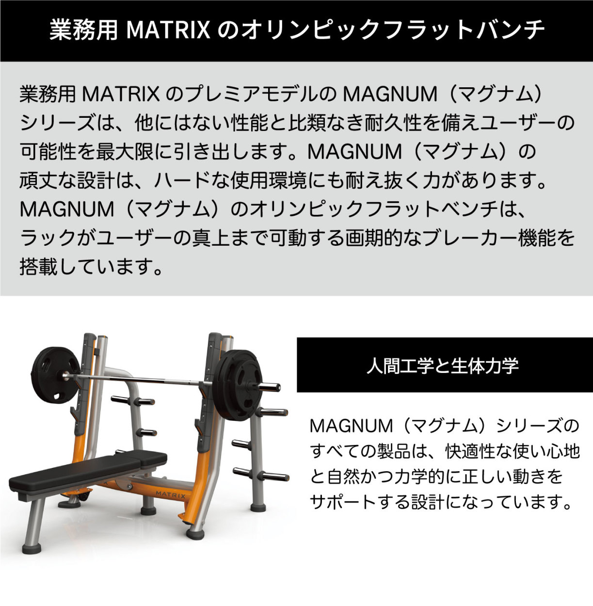 オリンピックベンチ フラットベンチ 業務用 MG-A678 ベンチプレス MG-A678 ジョンソンヘルステック MATRIX :  matrix-mg-a678 : アイフィットネスショップ - 通販 - Yahoo!ショッピング