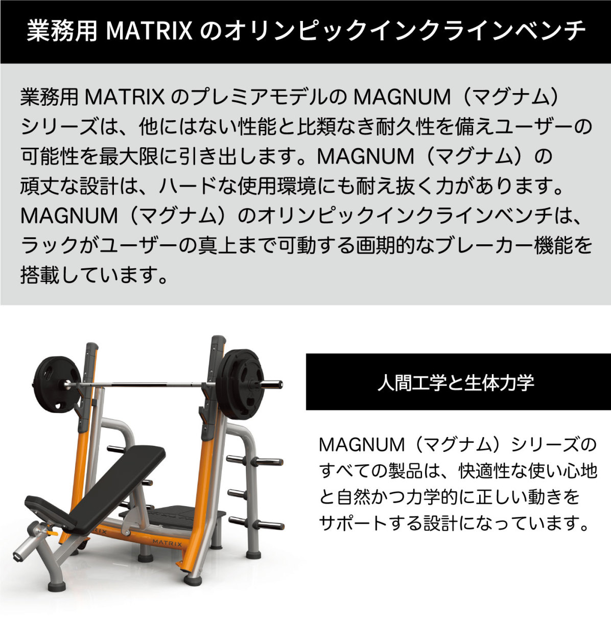 オリンピックベンチ MG-A679 インクラインベンチ 業務用 ホーム
