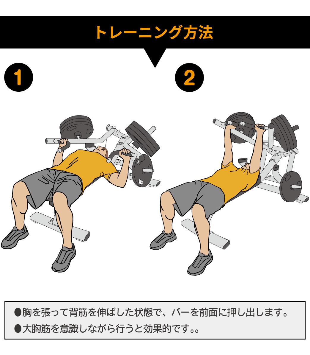 大人気新作 業務用 ウエイトマシン ストレングスマシン スパインベンチプレス ジョンソンの業務用matrixのスパインベンチプレス Magnumシリーズ ウエイトトレーニング ジョンソンヘルステック ジョンソン Mg Pl13 ウエイトトレーニング