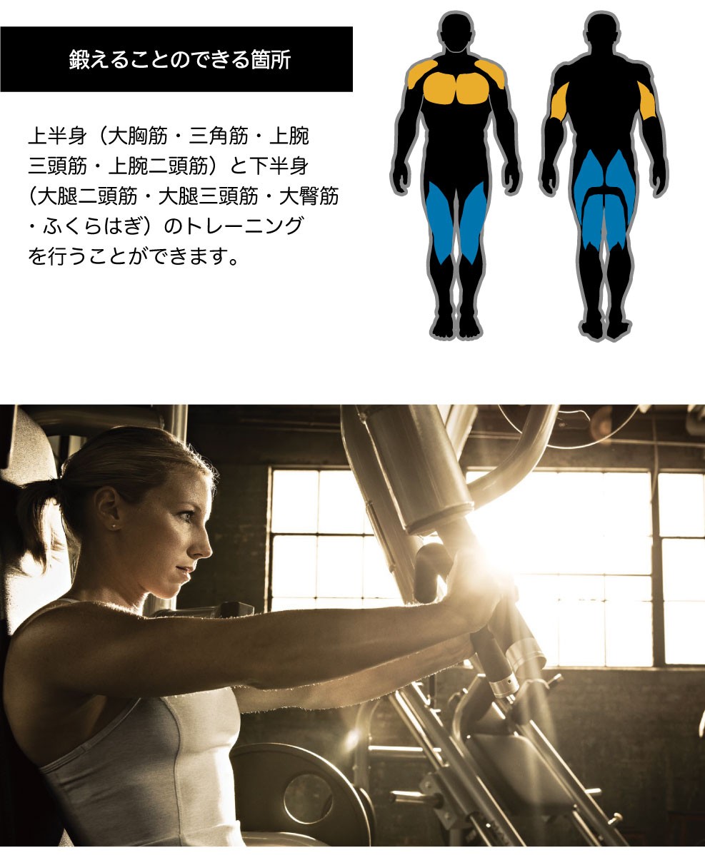 鍛えることのできる部位