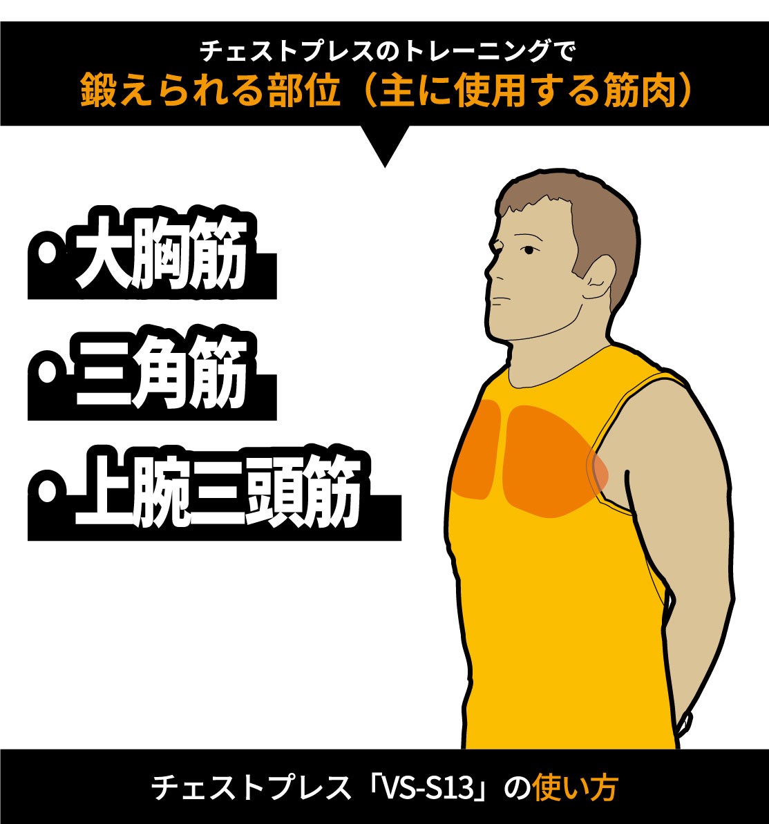 鍛えられる部位