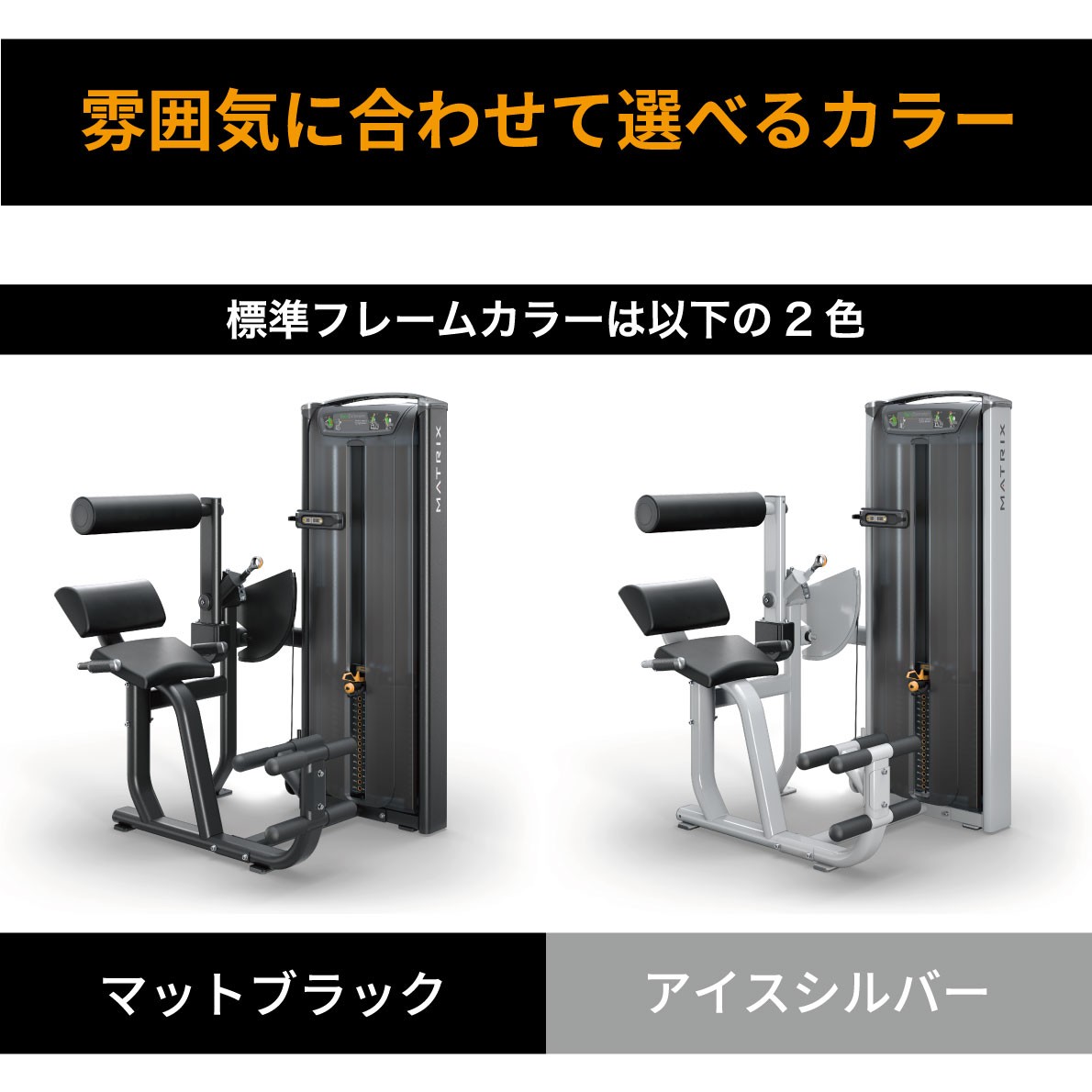 バックエクステンション ウエイトマシン 業務用 ホームジム