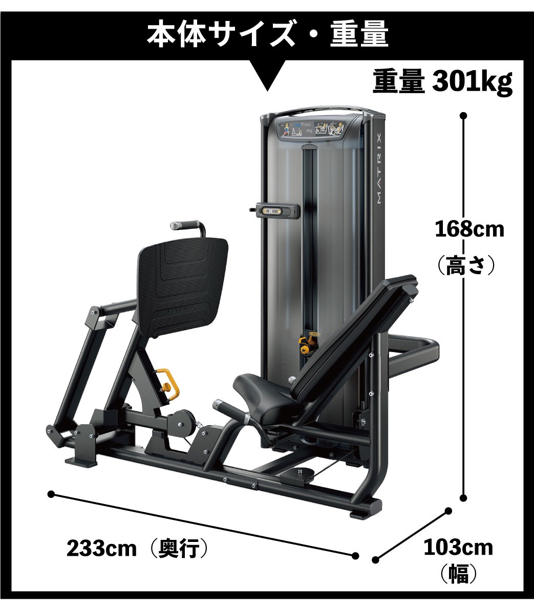 本体サイズ