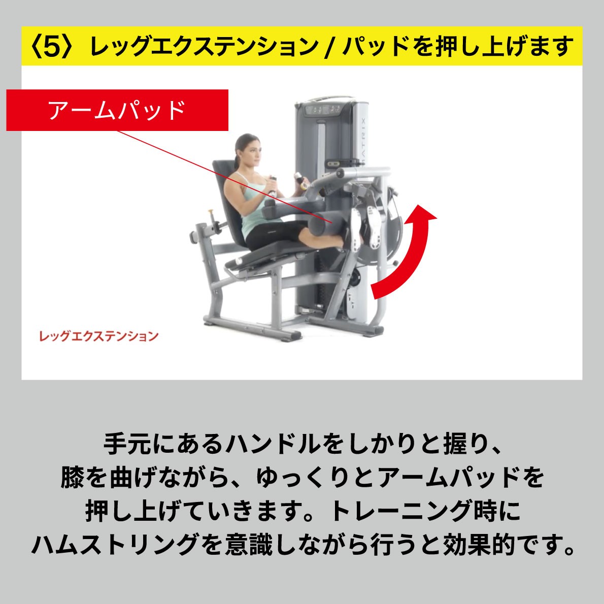 業務用 ウエイトマシン Versaシリーズ Vs S711 Vs S711 ストレングスマシン ジョンソンヘルステック レッグエクステンション レッグカール Versaシリーズ 業務用 ジョンソン Matrix Vs S711 アイフィットネスショップ