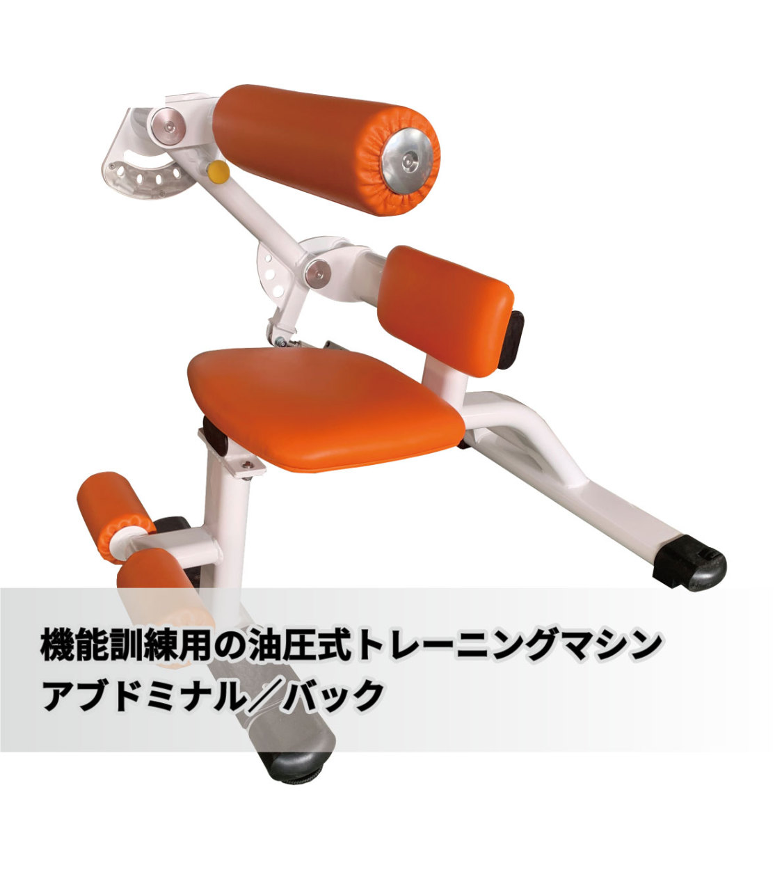 FUJIMORI 油圧マシン アブドミナル バックエクステンション 油圧