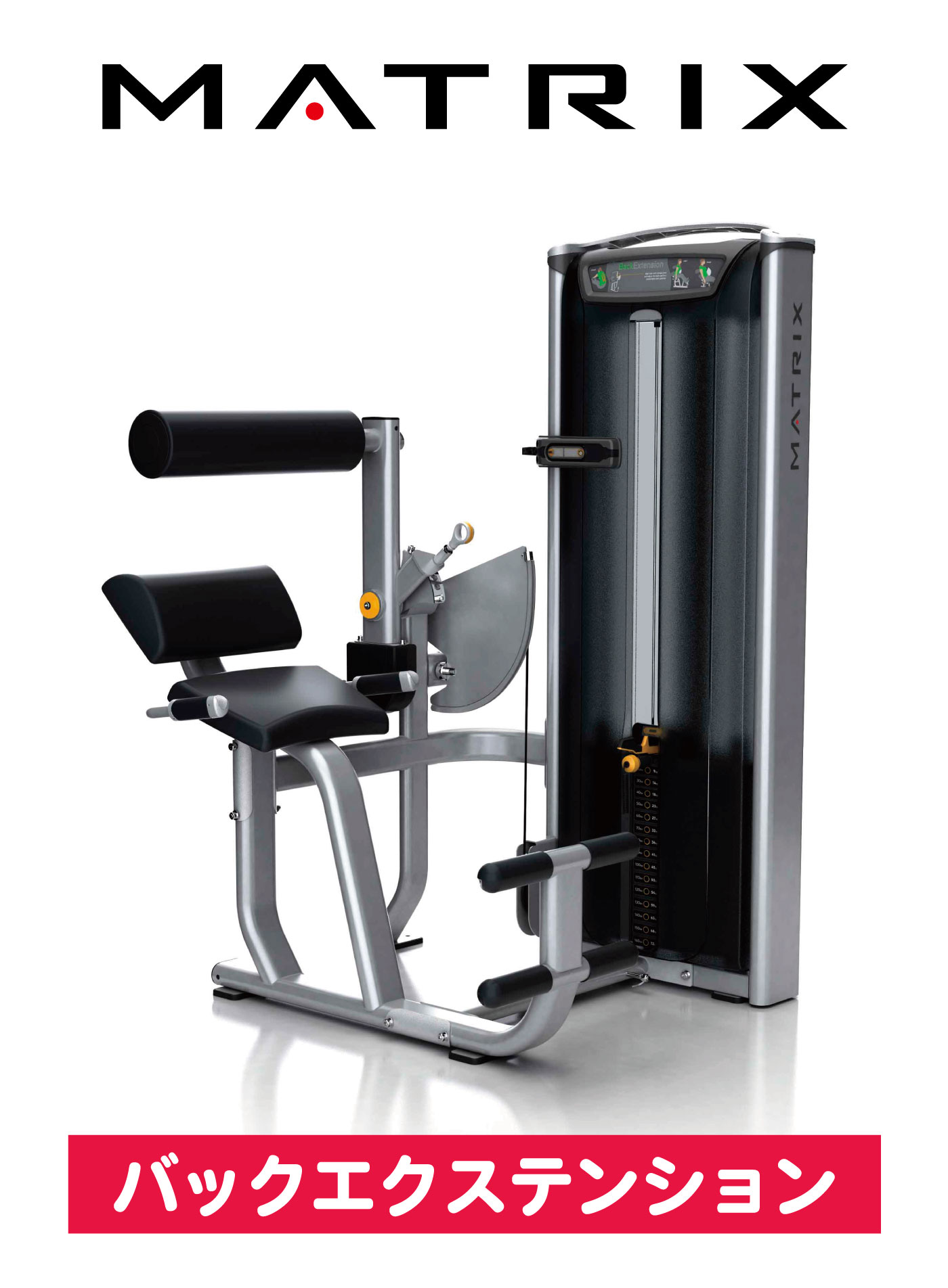 バックエクステンション ウエイトマシン 業務用 ホームジム ウエイト