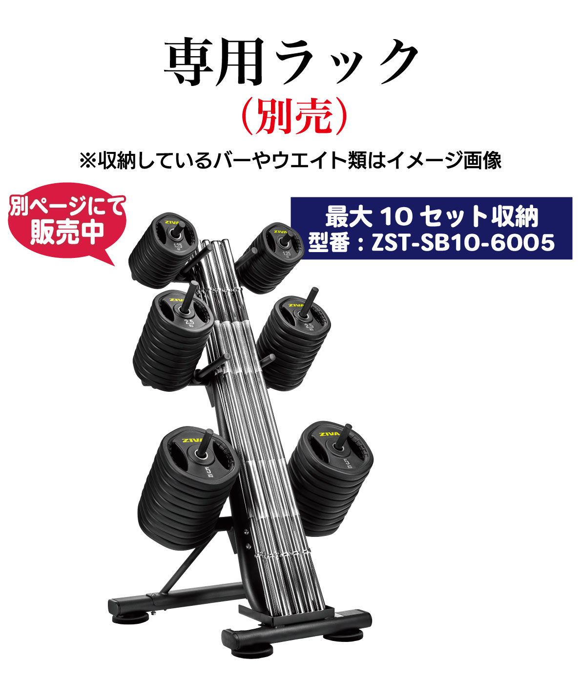 別売 スタジオバーベルラック