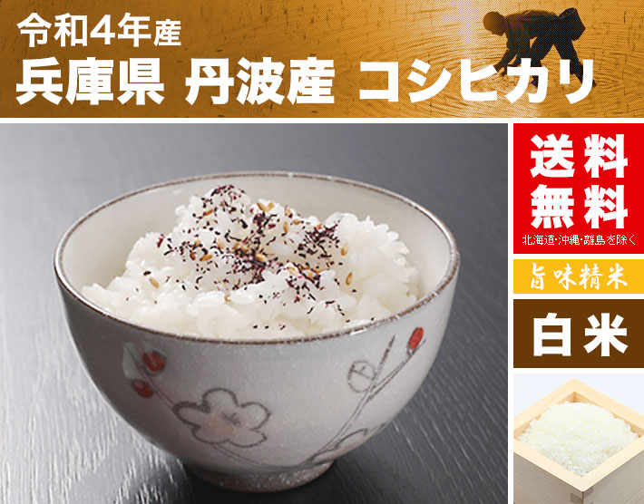 お手頃価格 兵庫県丹波産 農薬不使用コシヒカリ玄米５㎏ 令和４年産