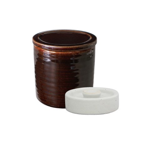 長谷園 公式 浅漬器 1000ml 浅漬け容器 漬物 漬物容器 ぬか床 ぬか漬け