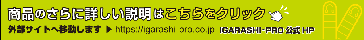 イガラシプロホームページ