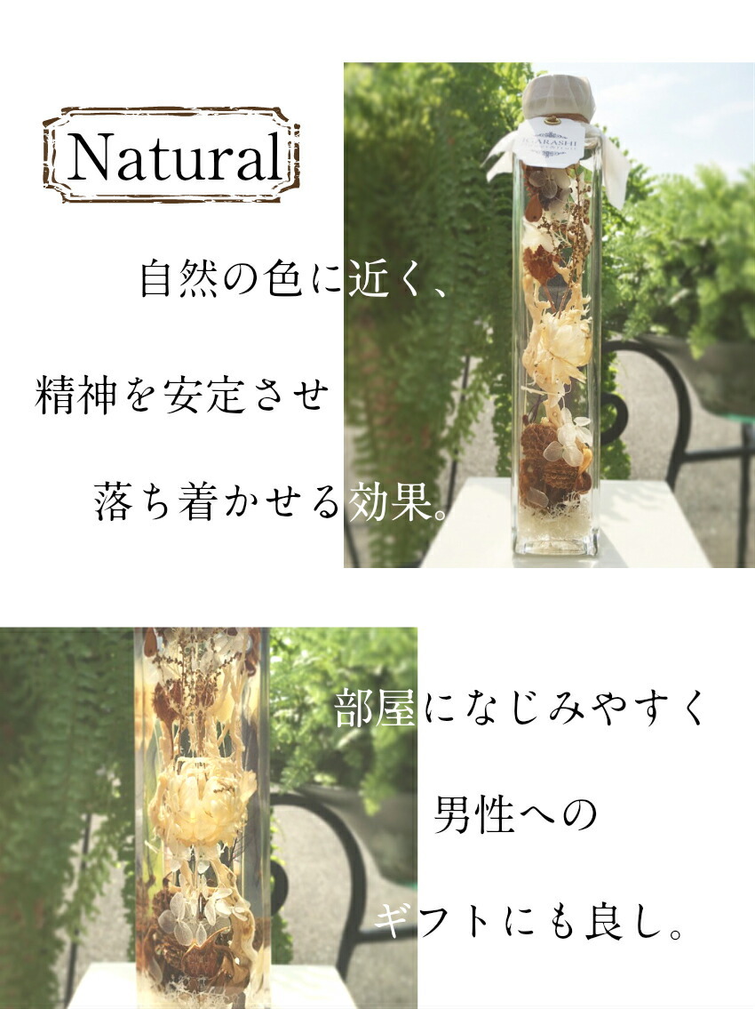 ナチュラル