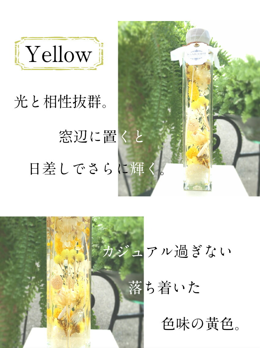 イエロー