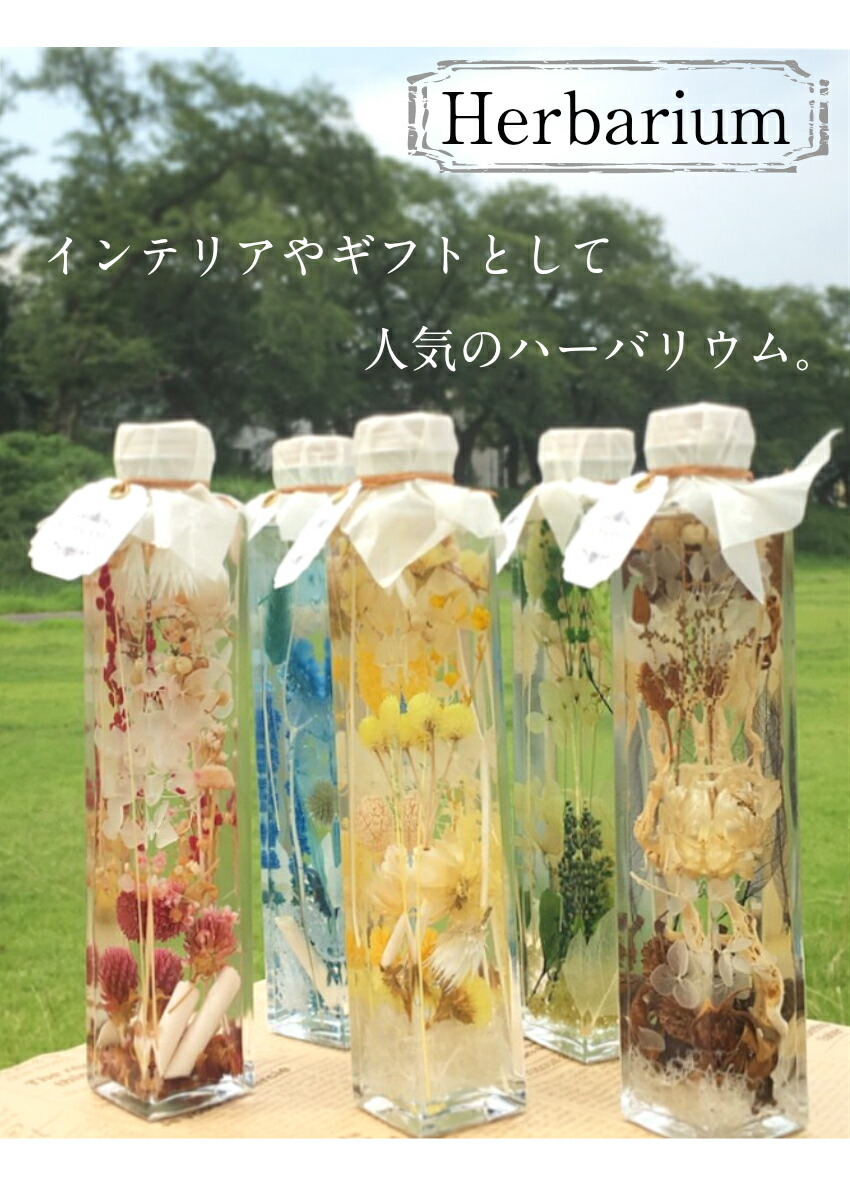 紹介１