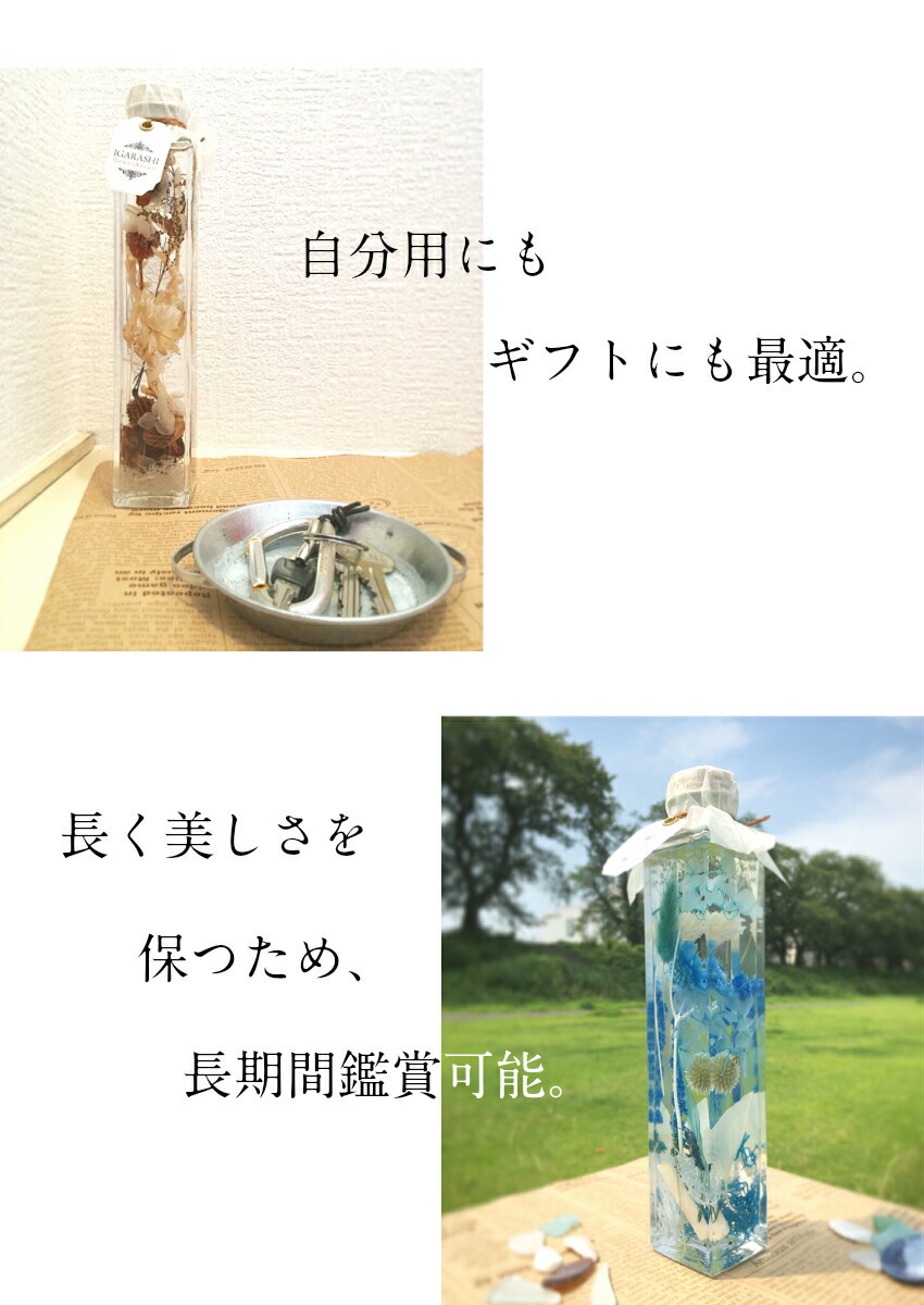 紹介３