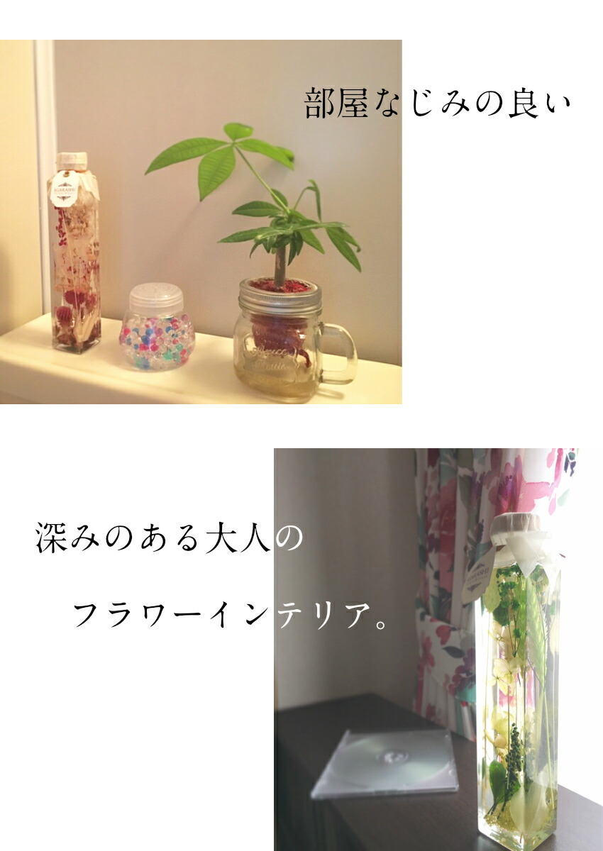紹介４