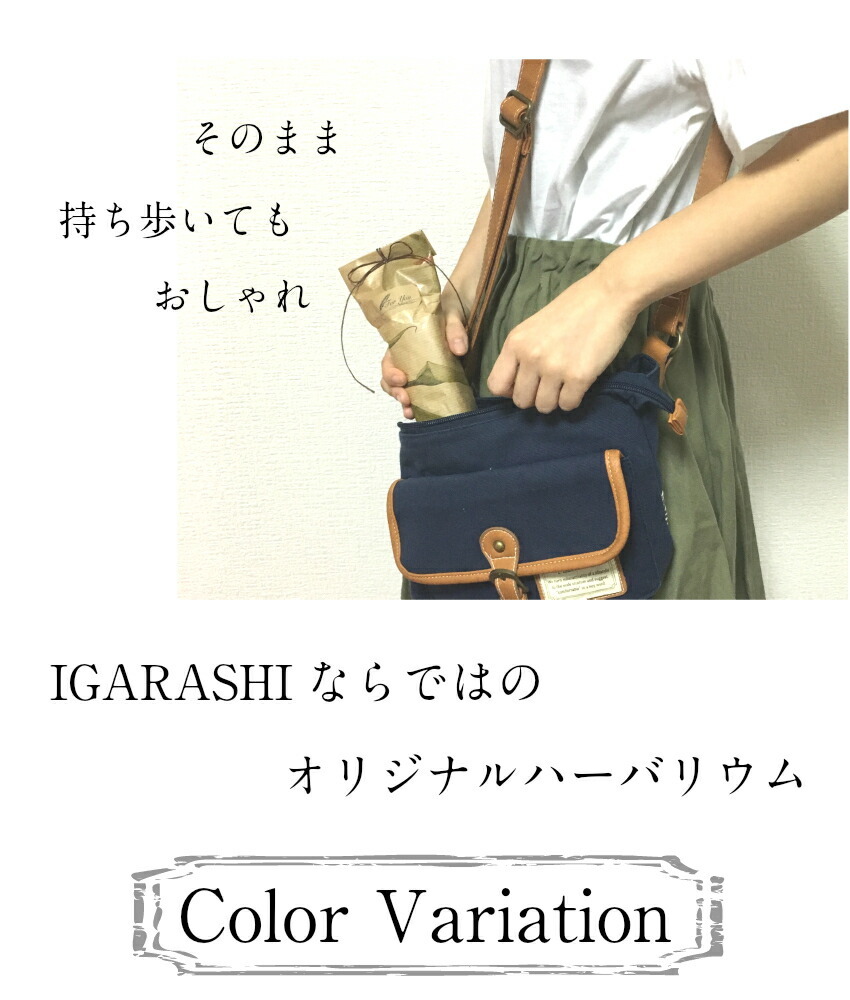 違い６