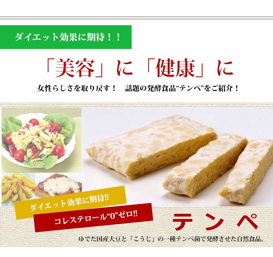 テンペ コレステロール0の栄養豊富な大豆発酵食品 テンペ 1.5kg ...