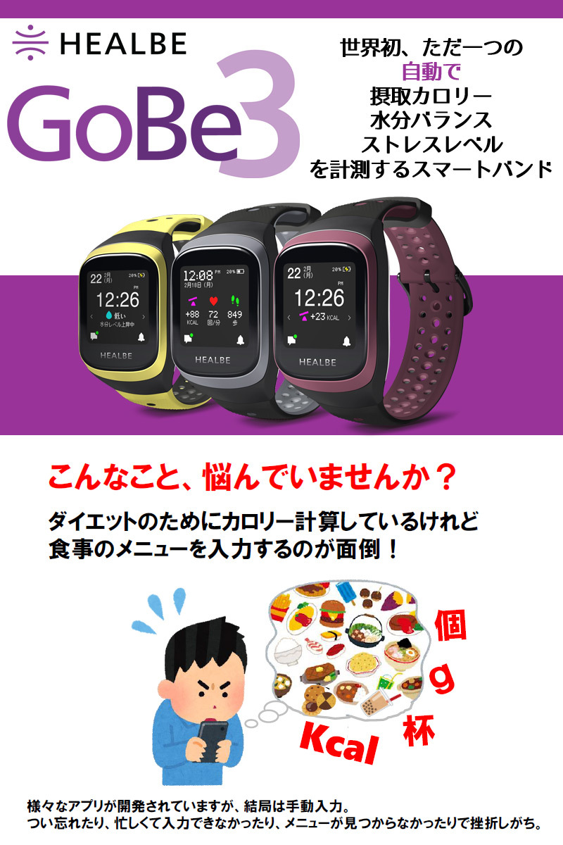 スマートウォッチ HEALBE GoBe3 ゴービー3 グレー HGB3-BK-GY カロリー計算 ダイエット 食事管理 水分管理 睡眠計 歩数計  腕時計